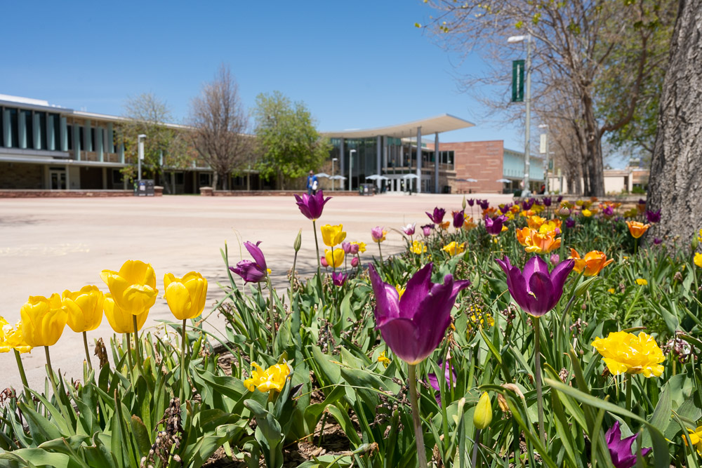 2021 Communication Studies Awards & Honors - Communication Studies ...