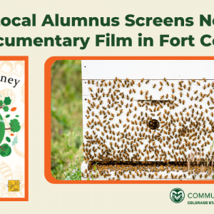 Text "Local Alumnus Screens New Documentary Film in Fort Collins" with photo of bees on a honeycomb and film poster "Hive to Honey short film COMING SOON 2022" and honeycomb pattern decoration