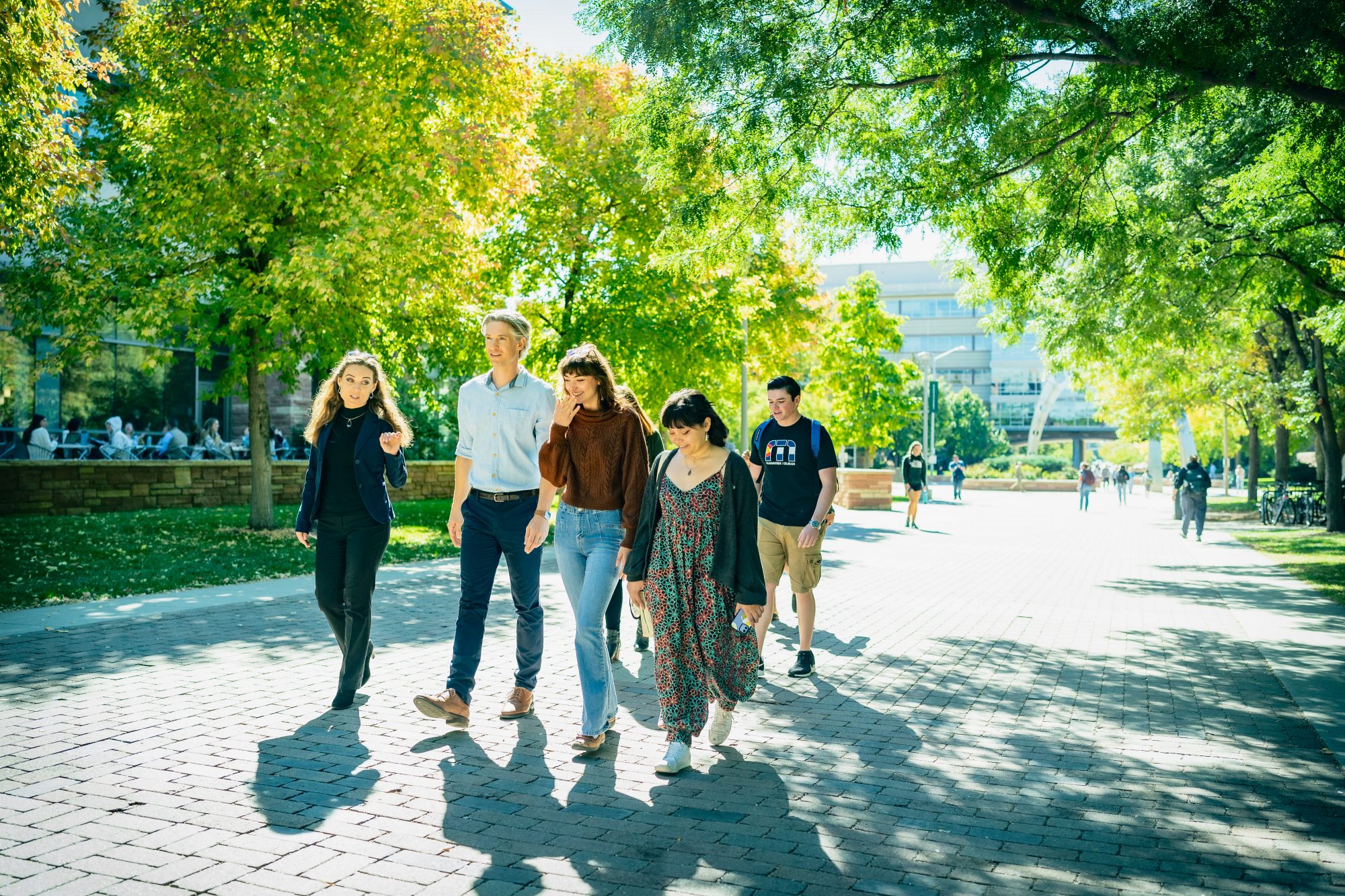 Photo of several people walking and talking together down a brick walkway surrounded by sunny green trees