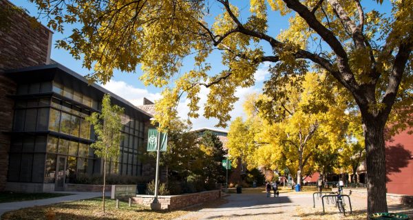 Picture of the walkway between Eddy Hall and Clark Building during the fall with yellow leaves on the trees overhanging