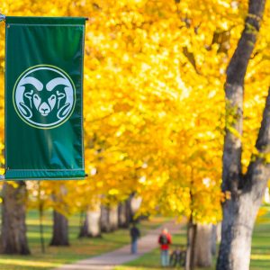 Flag with CSU logo against fall leaves