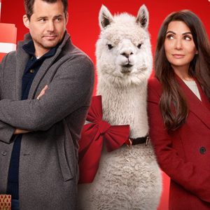 a movie promotional image featuring a man and a woman with a llama standing between them and surrounded by Christmas presents